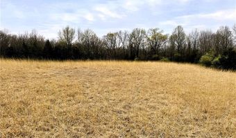 37339 State Highway V, Anabel, MO 63431