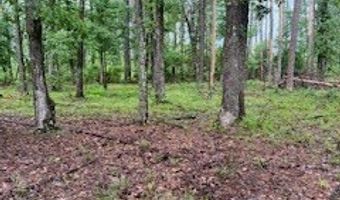 450 Apple Trl, Bogue Chitto, MS 39629