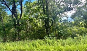 8946 Anderson Rd, Adams Run, SC 29426