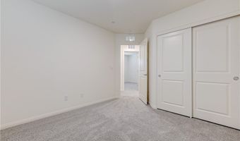 501 Red Lovebird Ave, Henderson, NV 89011