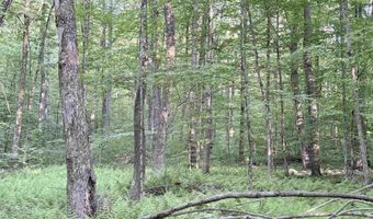 498 Town Line Rd, Bennington, VT 05201