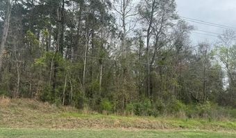 Hwy 55, Andalusia, AL 36420