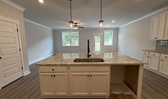 313 Brook Landing Cir, Auburn, GA 30011