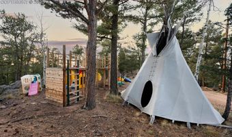 516 Saguache Dr, Florissant, CO 80816