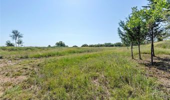 110 Pringle Ct, Alvord, TX 76225