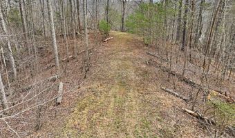 2701 Roses Branch Rd, Bakersville, NC 28705