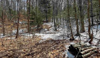 441 Tower Rd, Barnet, VT 05821