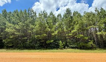 2316 Traci Loop, Bogue Chitto, MS 39629