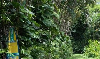 143 Alalele Pl, Hana, HI 96713