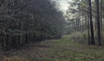 U.S. Highway 51, Bogue Chitto, MS 39629