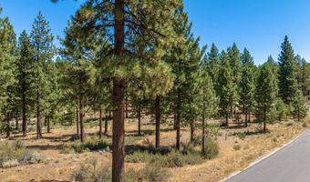 234 Redding Way, Carson City, NV 89705