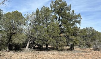 5 Deer Droppings, Ash Fork, AZ 86320