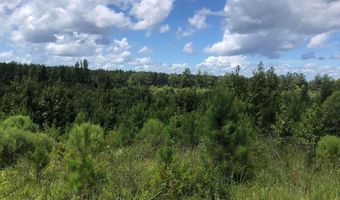 Lot 8 River Rd, Columbia, MS 39429