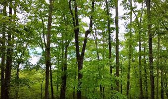 Paradise Lane, Bee Branch, AR 72013