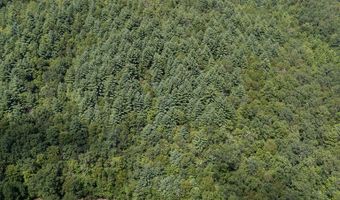Chestnut Flats Road, Andrews, NC 28901