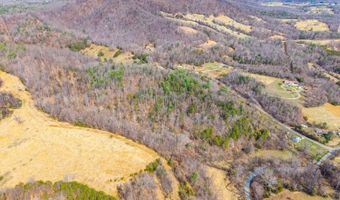 Puppy Creek, Amherst, VA 24521