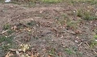 174 Kenilworth Rd, Asheville, NC 28803