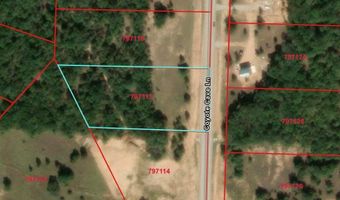 109 Coyote Cave Ln, Alvord, TX 76225