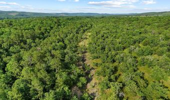 186275 N 4380 Rd, Antlers, OK 74562