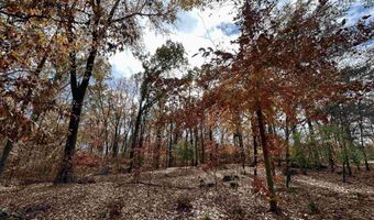County Rd 308, Forrest City, AR 72335