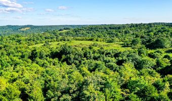 21814 State Hwy 248, Aurora, MO 65605
