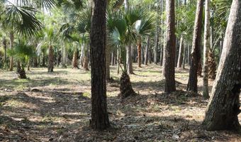 114 Melanie Ln, Apalachicola, FL 32320