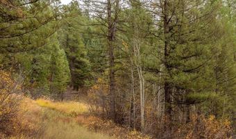 Lot 24 TRAIL RIDGE Road, Alpine, WY 83128