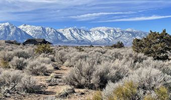 1290 Jo Ln, Gardnerville, NV 89410