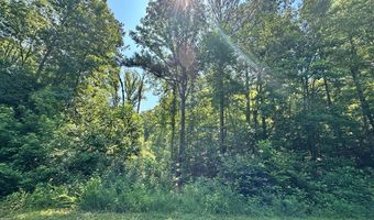 George Green Rd, Tallapoosa, GA 30176