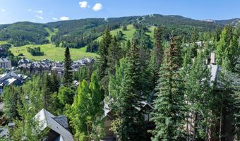 111 Scott Hill Rd 17, Beaver Creek, CO 81620