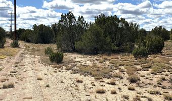 5 Clubhouse Ln, Concho, AZ 85924