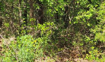 Strawberry Valley Road, Ash Flat, AR 72513