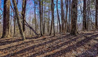 Little Tree Lane, Banner Elk, NC 28604