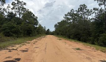 Odum Street lot 29, Alford, FL 32420