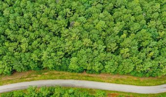 Lot 57 Lighthouse Pointe, Lincolnton, GA 30817