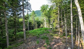 F4 Cave Mountain Drive, Bartlett, NH 03812