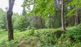 905 Gideons Mill Rd, Brighton, VT 05846