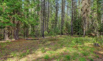 30612 Three Turtle Xing, Bigfork, MT 59911