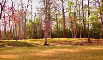 161 Sunshine Dr Lot 44, Arapahoe, NC 28510