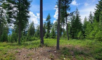 Bootlegger Lane- Parcel 1, Bonners Ferry, ID 83805