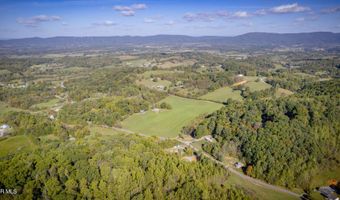 Lot 8 & 11 Davis Valley Road, Afton, TN 37616