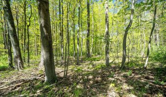 2280 Taft Rd, Allegan, MI 49010