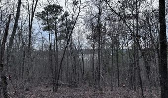 34 Acres- Mtn CONSTELLATION DRIVE Lot 34+ Acres-Mtn Tract One, Alpine, AL 35014