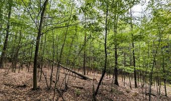 Stewart Road, Addison, NY 14801