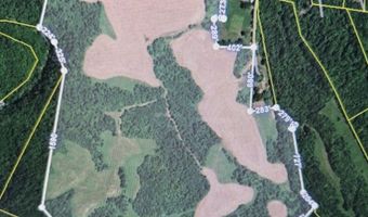 193 Ac Massa Rd, Baxter, TN 38544