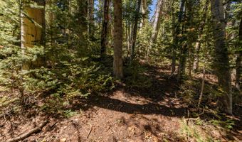 693 W Hunter Ridge Dr, Brian Head, UT 84719
