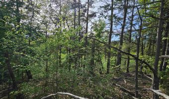 Province Road lot 26, Belmont, NH 03220