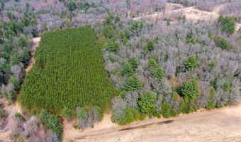 Dover Drive lot 2 +/-43 Ac, Adams, WI 53910