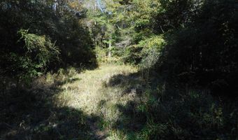 E-S Drive, Braxton, MS 39044