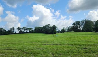 3350 SE Mount Pleasant Ln, Bogue Chitto, MS 39629